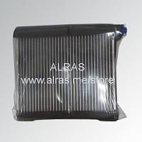 EVAP. NISS MARCH 12' / INDIAN SUNNY